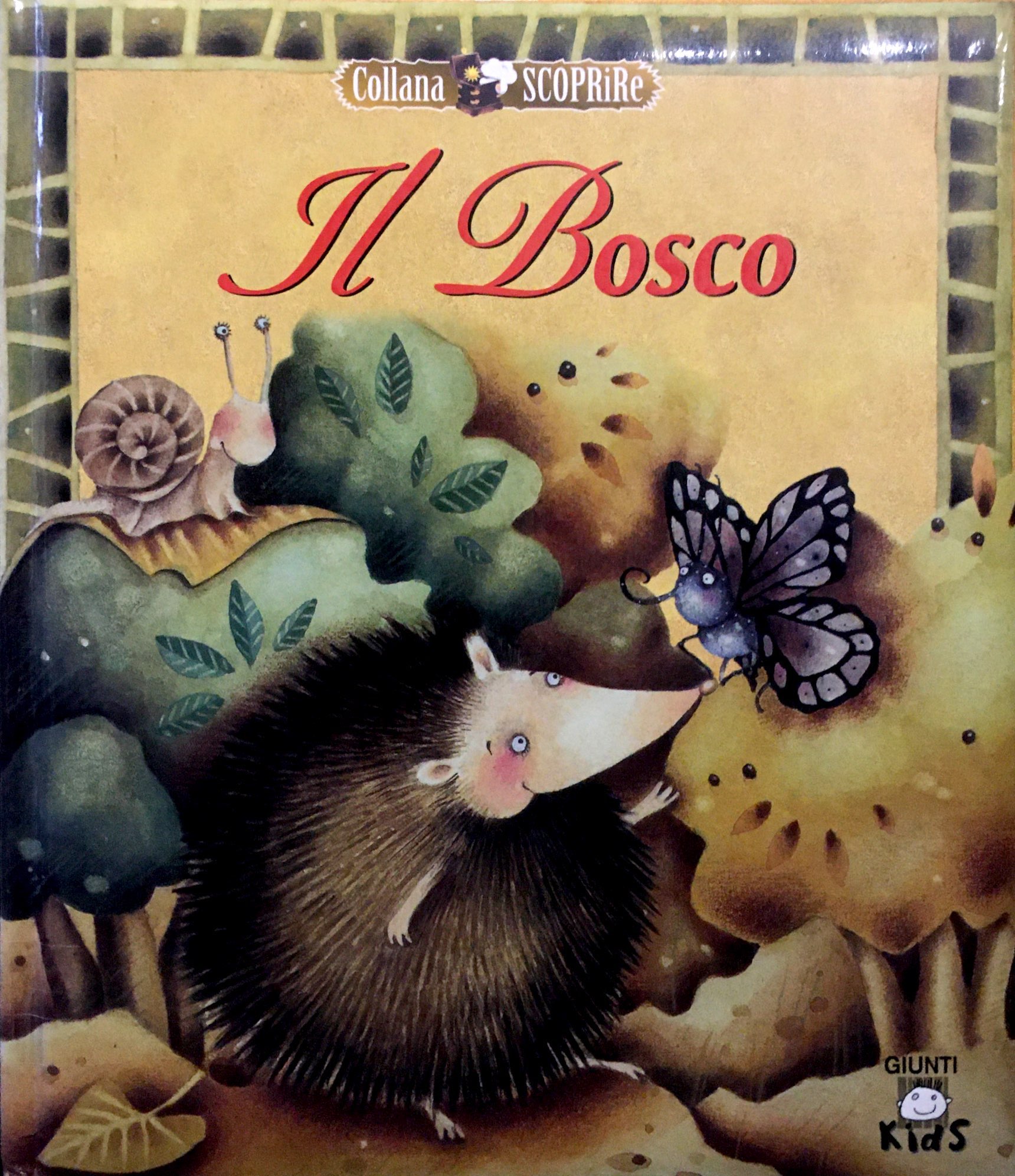 IL BOSCO - PICCOLO RICCIO NON VUOLE DORMIRE